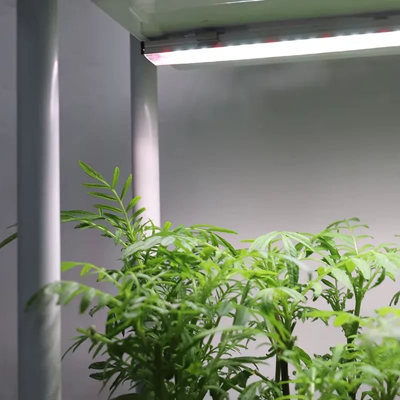 Self Watering Planter - Jardinière intelligente verticale mobile à 3