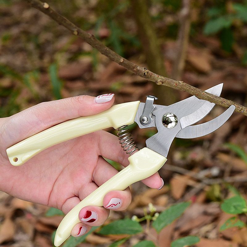 Pruning Shears - Sécateur de jardin à économie d'efforts,