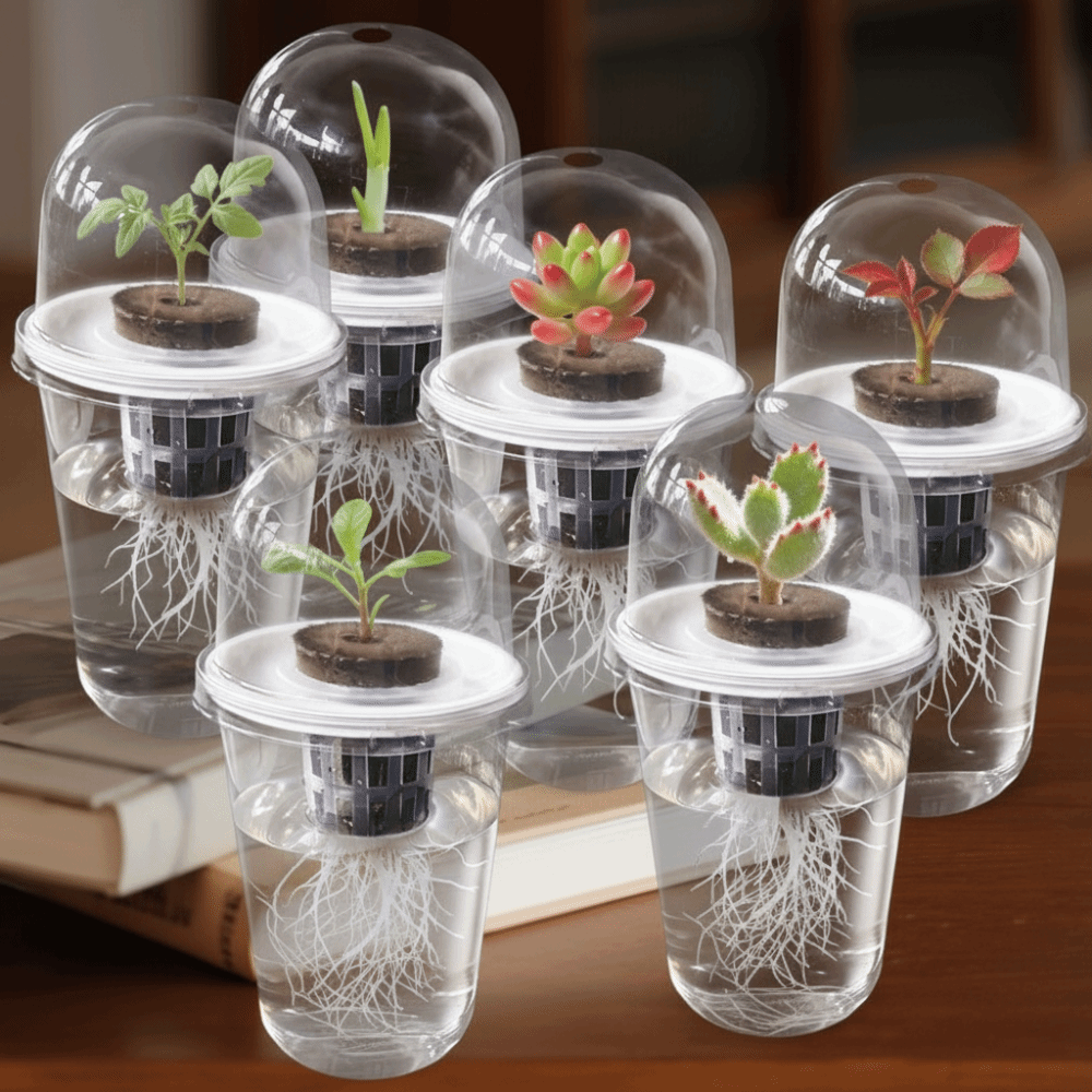 Seed Starter Tray - 1-5 pièces Gobelets de germination transparents