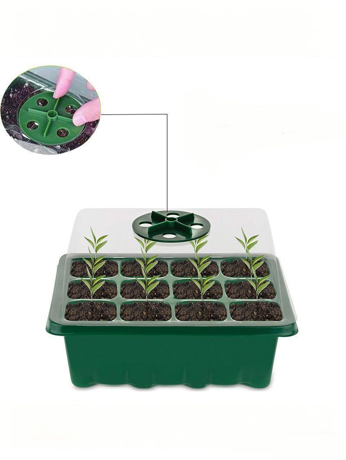 Seed Starter Tray - Plateau à semis 6/12 trous, en