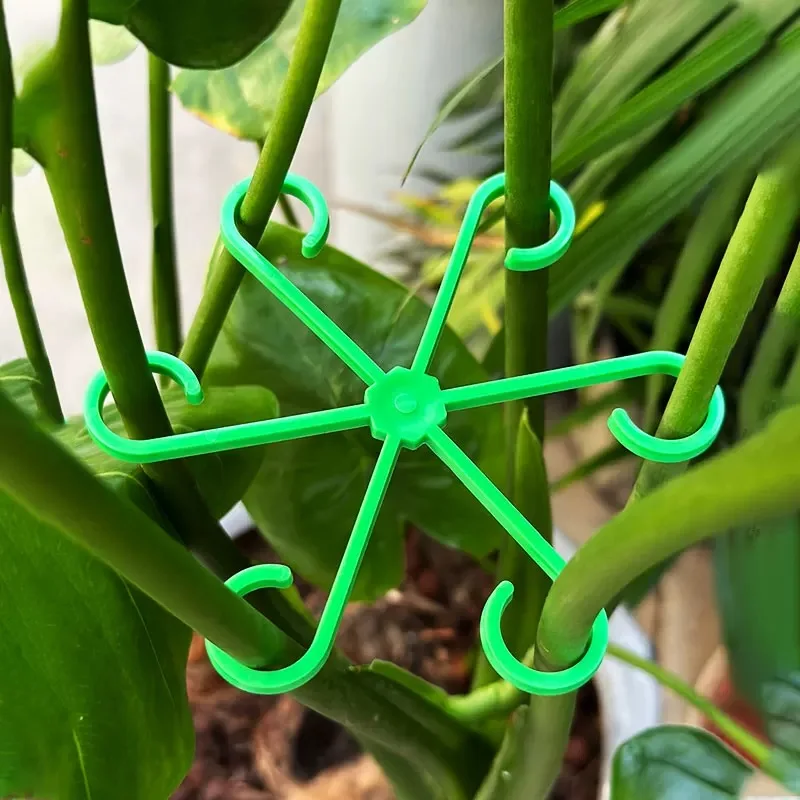Piquets de Support de tige de  - Indoor Herb Garden avis et prix