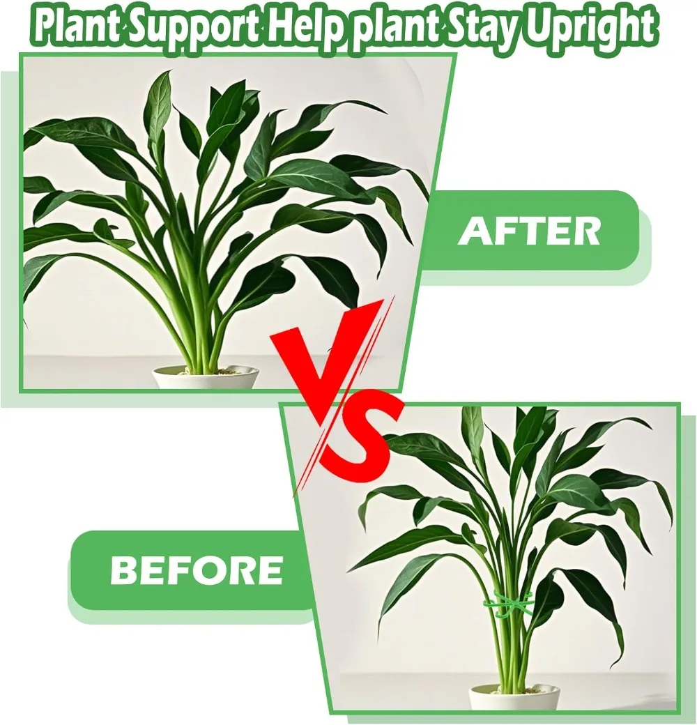 Piquets de Support de tige de  - Indoor Herb Garden avis et prix