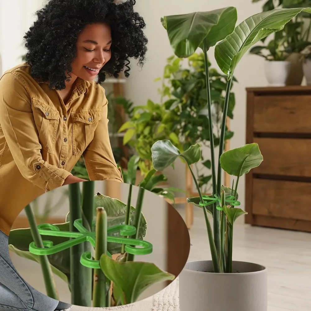Piquets de Support de tige de  - Indoor Herb Garden avis et prix
