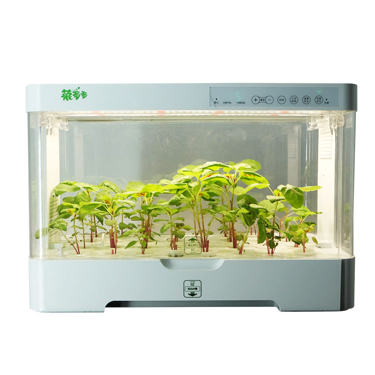 Petit armoire de culture en pl - Hydroponic Kit avis et prix