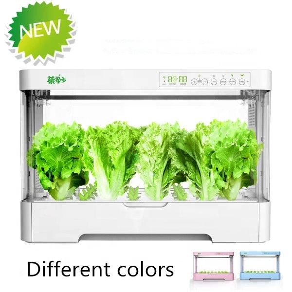 Petit armoire de culture en pl - Hydroponic Kit avis et prix