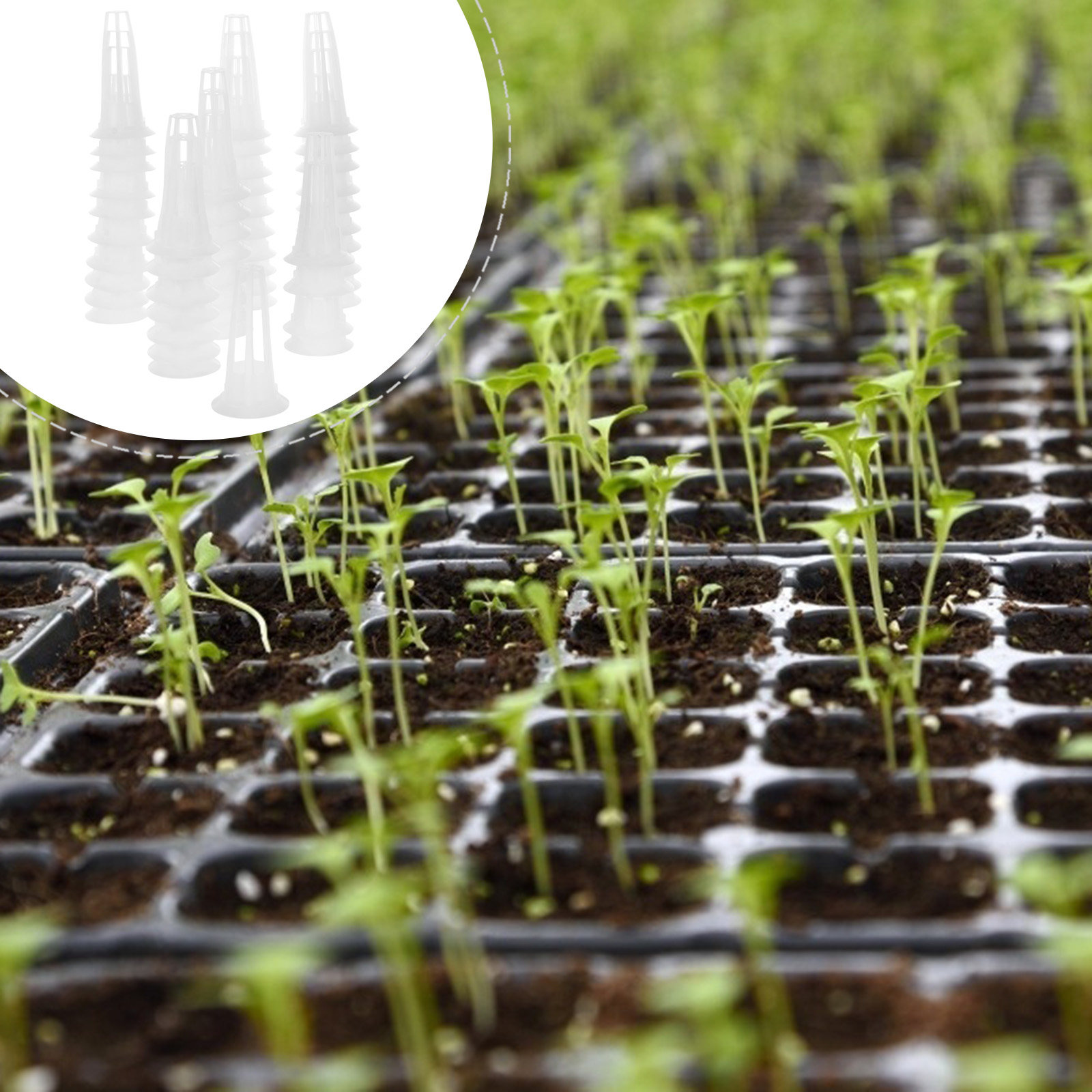 50 paniers hydroponiques en pl - Plant Pot avis et prix