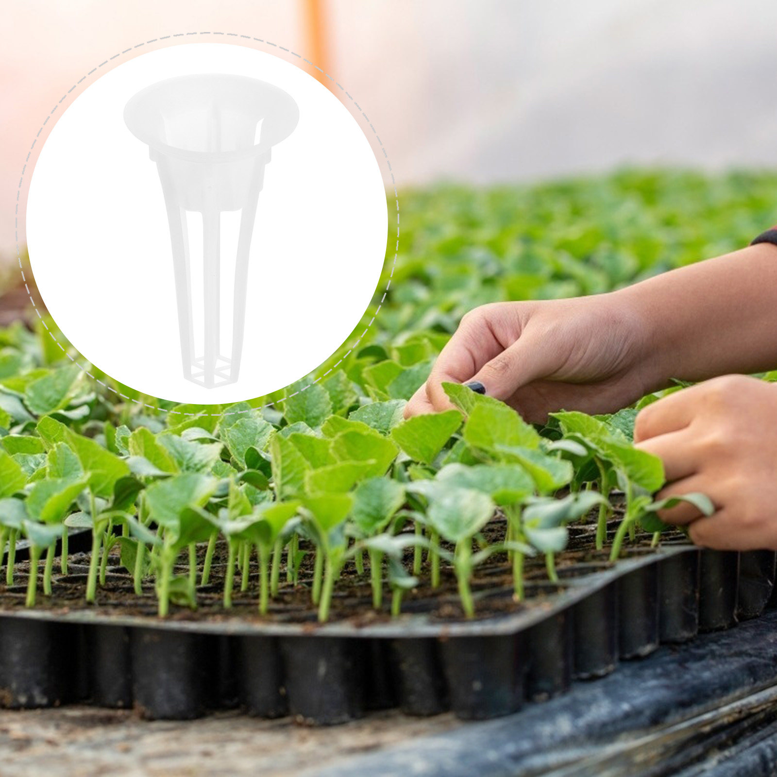 50 paniers hydroponiques en pl - Plant Pot avis et prix