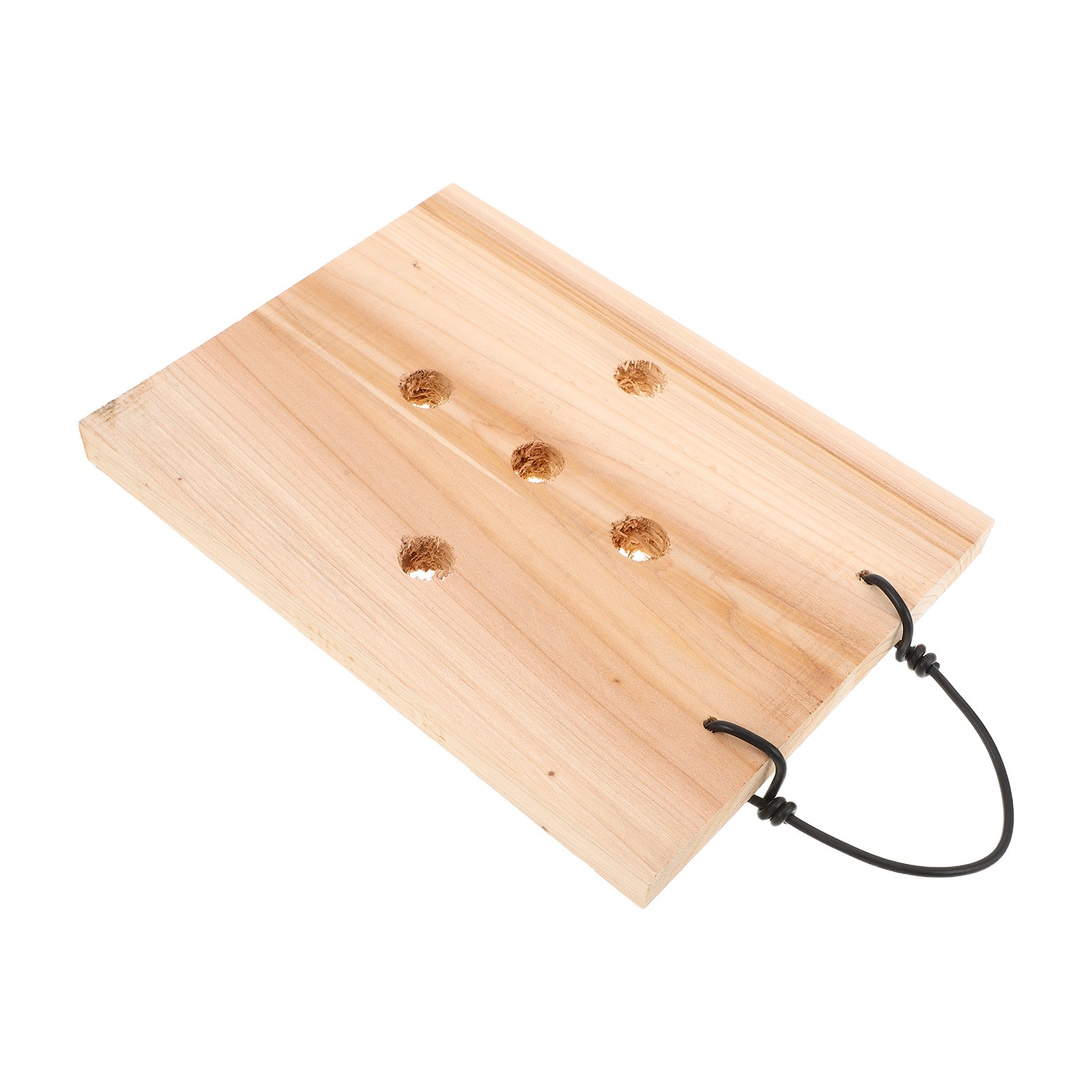 Planche murale en bois massif  - Vertical Planter avis et prix
