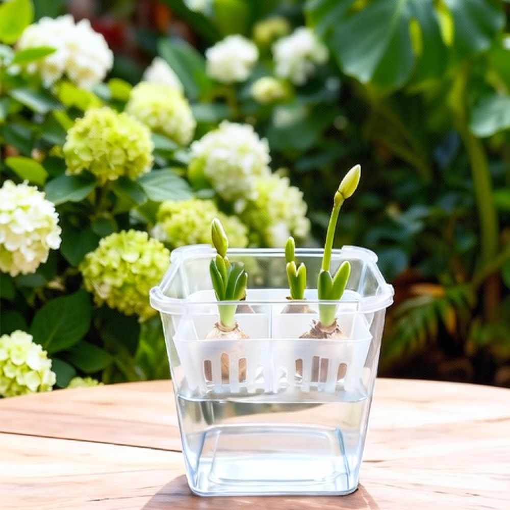 Vase hydroponique pour tulipes - Plant Pot avis et prix
