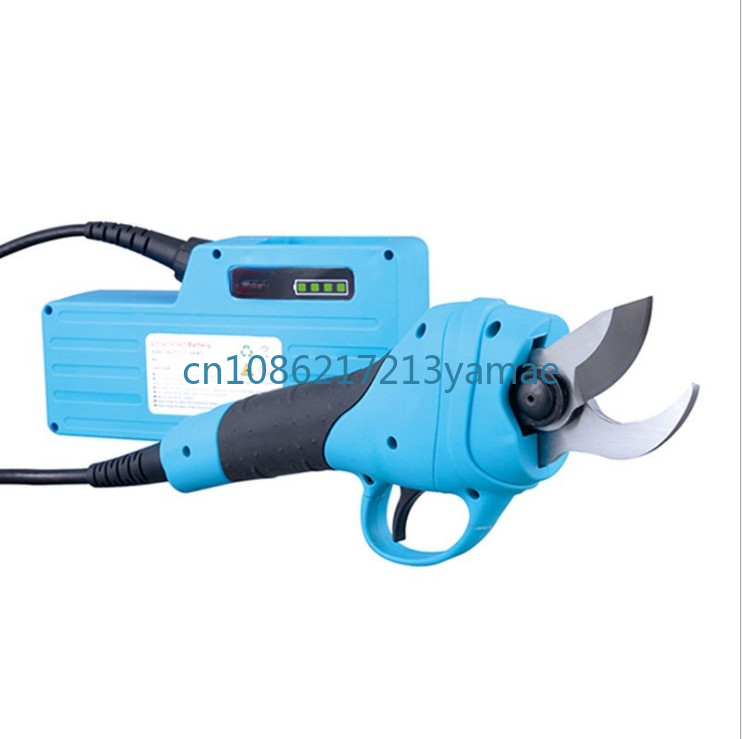 Sécateur électrique aste, batt - Pruning Shears avis et prix