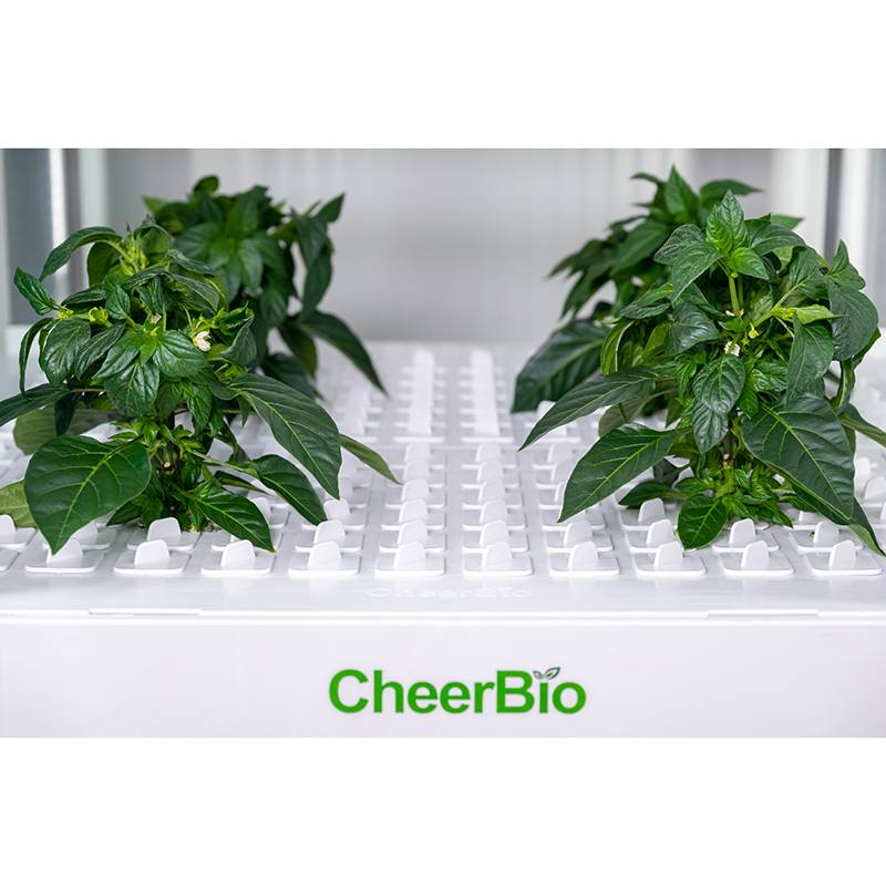Nouveau système de plantation  - Hydroponic Kit avis et prix