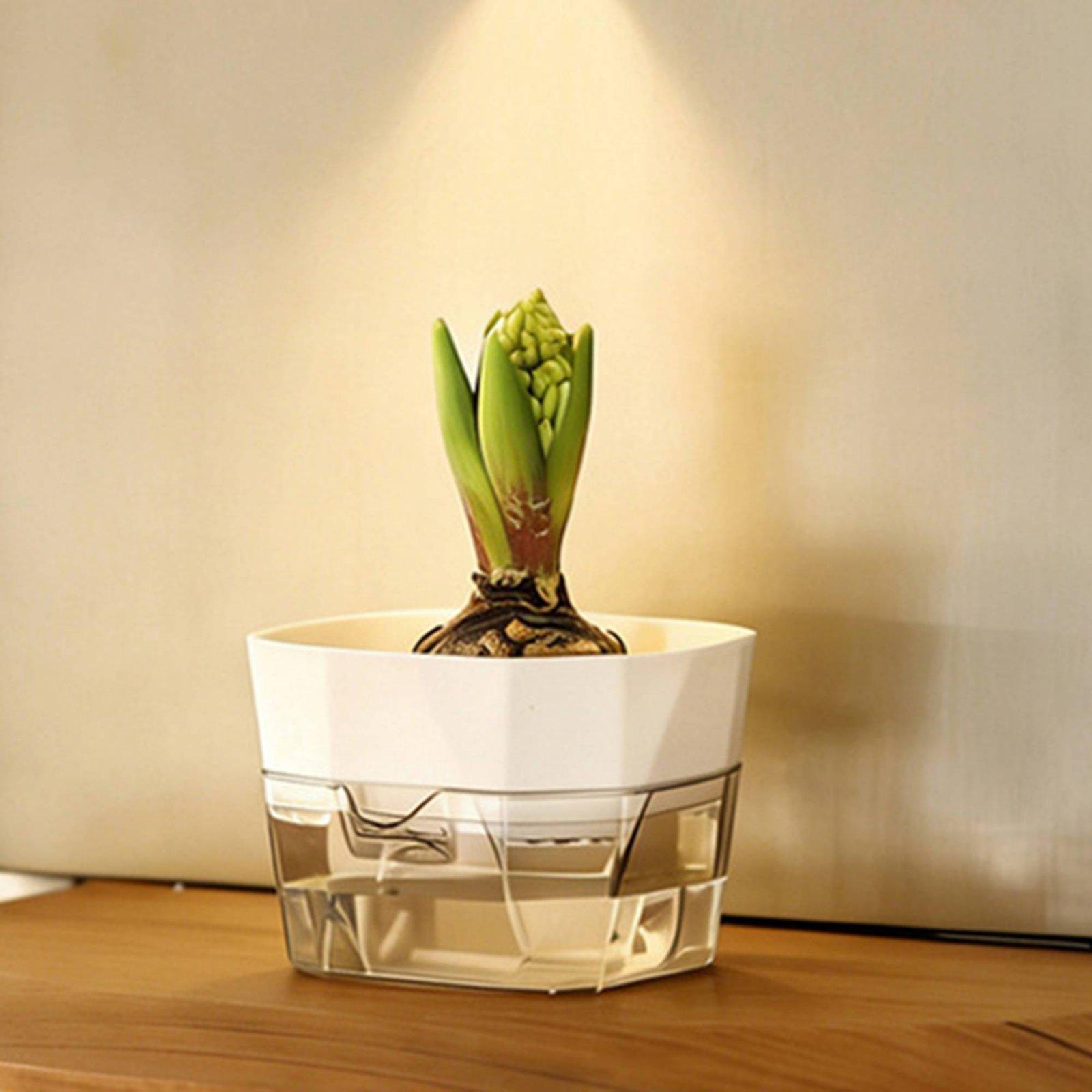 Vase hydroponique à deux nivea - Self Watering Planter avis et prix