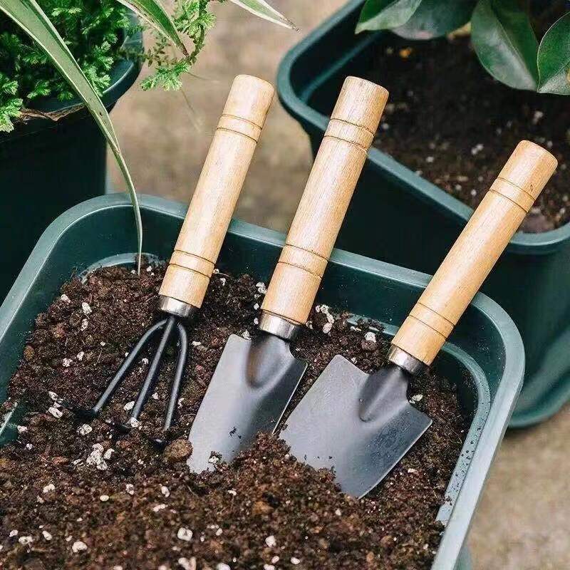 3 pièce/1 ensemble Mini ensemb - Indoor Herb Garden avis et prix