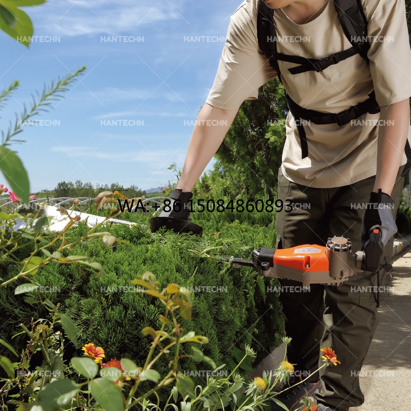 Taille-haie manuel à grande po - Pruning Shears avis et prix