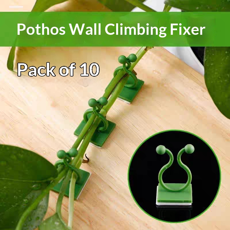 Clips de fixation murale auto- - Indoor Herb Garden avis et prix