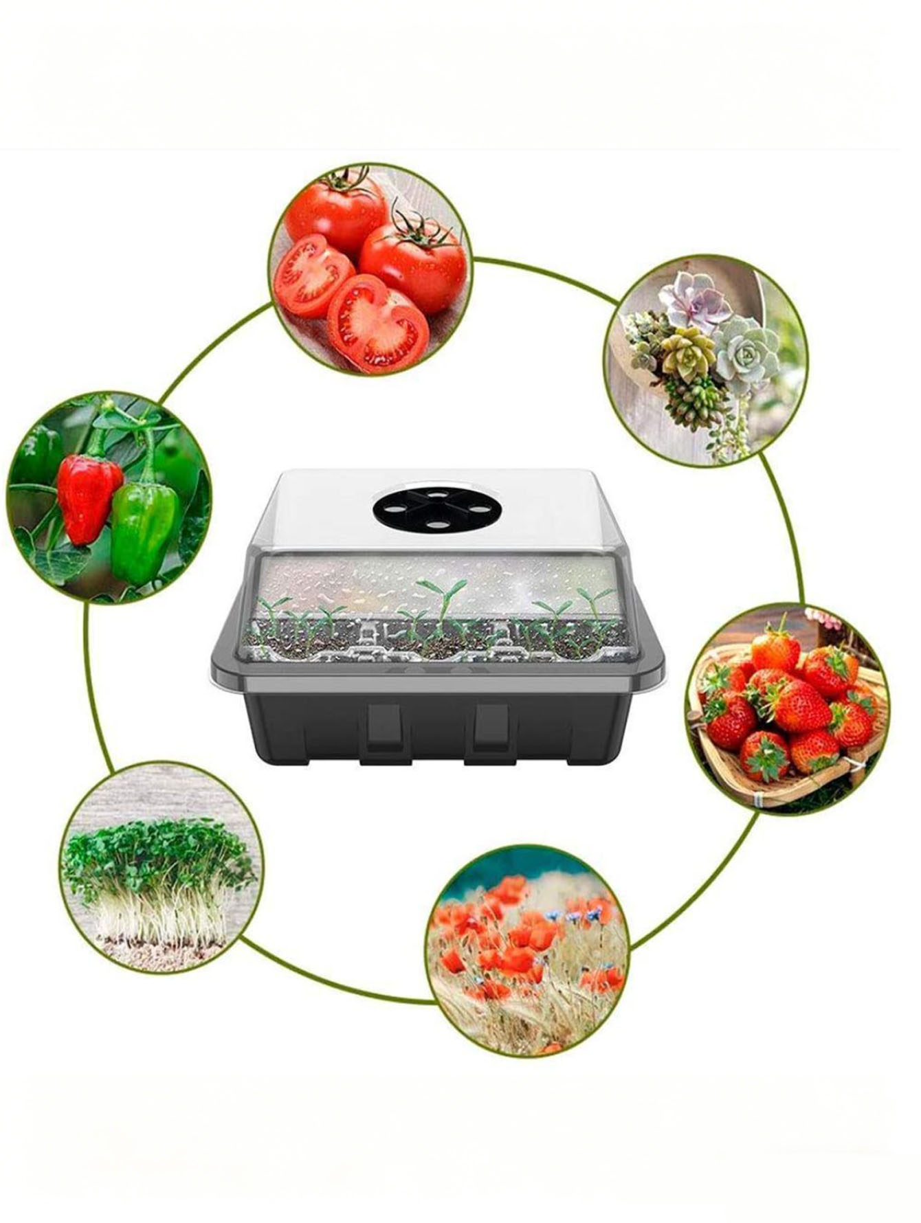 Plateau à semis 6/12 trous, en - Seed Starter Tray avis et prix