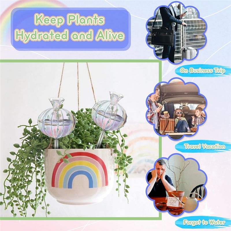 AA94 – Ampoules d’arrosage pou - Self Watering Planter avis et prix